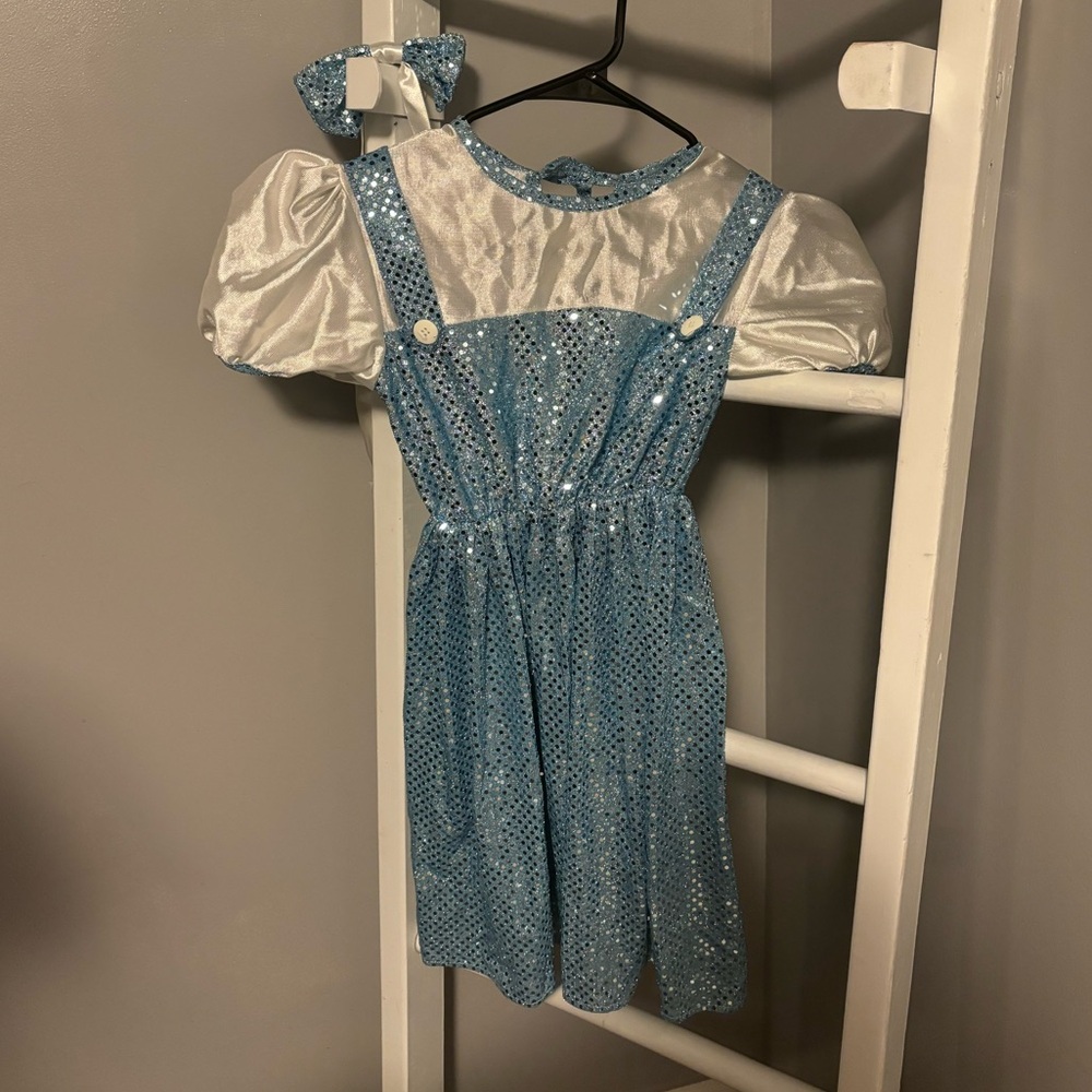 Girl’s Sparkly Dorthy Costume - Worn once - one size fits most